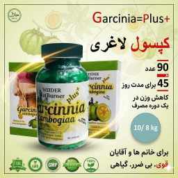 کپسول لاغری گارسینیا کمبوجیا